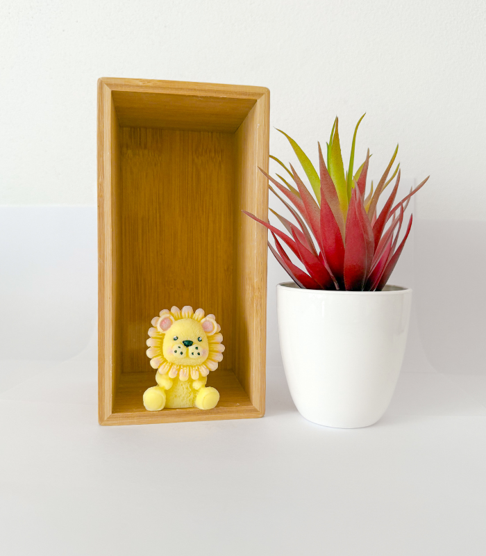sapun marturie botez marturie botez